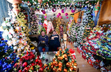 Сюзанна и Томас Джеромин — мировые рекордсмены по количеству установленных в своем доме рождественских елок (555 красавиц), позируют в гостинной для фото. Город Ринтельн, Германия.