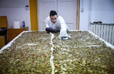 Сотрудник католической благотворительной организации Каритас Фабрицио Маркиони сушит феном монеты, собранные у фонтана Треви, в офисе Каритас в Риме, Италия. 