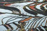 Террасные поля в китайской провинции Юньнань.