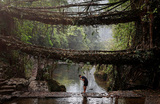 Человек чистит зубы в речке над которой висит двухуровневый «живой» корневой мост в деревне Нонгриат. Штат Мегхалая, северо-восток Индии.