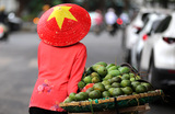 Торговля фруктами на улицах Ханоя.