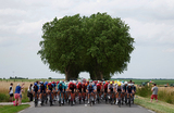 Велогонка «Тур де Франс». Этап 10. От Орлеана до Сен-Аман-Монрон, Франция.