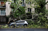 Последствия штормовой погоды в Париже.