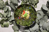 Необычное мороженое для спасения от жары