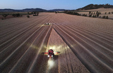 Уборка ячменя на полях в Австралии.