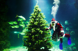 Дед Мороз во время погружения к новогодней ели, установленной на глубине 4 метров в «Москвариуме» на ВДНХ.