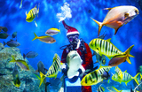 Рождественская программа в океанариуме SeaLife в Бангкоке.