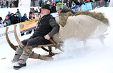 Новогодние баварские сотязания в скоростном спуске на традиционных санях в Гармиш-Партенкирхене, Германия.