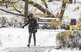 В Москве до вечера будет ветер с порывами, мокрый снег и гололедица