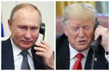 Путин в разговоре с Трампом заявил о готовности объявить перемирие с Киевом на 9 Мая