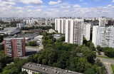 Когда стоит забыть о спорах: Росреестр поясняет