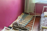 В Туве расследуют нападение на детей в оздоровительном лагере