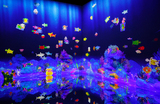 Новые инсталляции появились в музее цифрового искусства teamLab Biovortex в Токио.