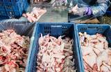 Россия ограничит транзит европейской птицеводческой продукции