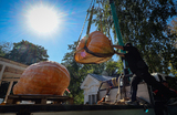Осенний фестиваль урожая «Битва гигантов» на ВДНХ в Москве.